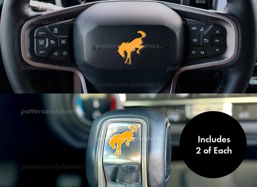 Steering wheel shifter decal - steering, &